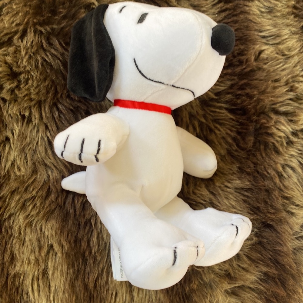 Peanuts - Picture 3 of 11